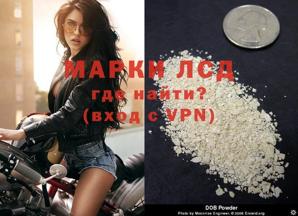 стаф Балахна