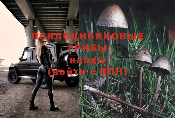 стаф Балахна