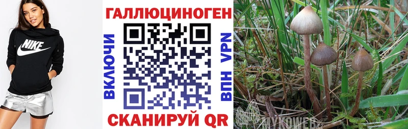 Галлюциногенные грибы прущие грибы  OMG ссылка  Сертолово 